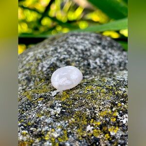 Polished Flower Agate